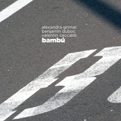Bambú