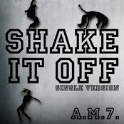 Shake It Off (Single Version)