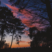 I'm worried about you