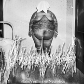 StaticVerminousNeurotics