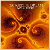 Shadow And Sun by Tangerine Dream