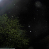 It's Easy To Pull Wool Over The Eyes Of Sheep