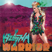 2012 - Warrior Album Picture