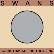 I Love You This Much by Swans