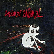 Animal Animal