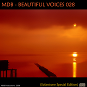 BEAUTIFUL VOICES 028 (SOLARSTONE SPECIAL EDITION)