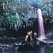 Into temptation (The best of gothic rock)