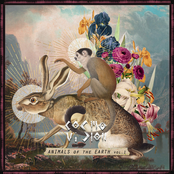 Animals of The Earth vol.1 (V.A)