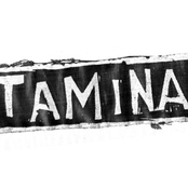 vitamina (a)