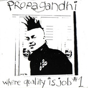Die For The Flag by Propagandhi