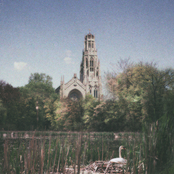 Necessity Has Clipped My Wings