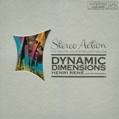 Dynamic Dimensions