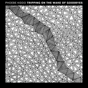 Tripping On The Wake Of Goodbyes EP