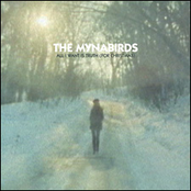 The Mynabirds: All I Want Is Truth (for Christmas)