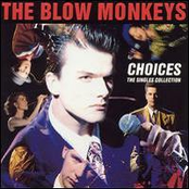 Choice? by The Blow Monkeys