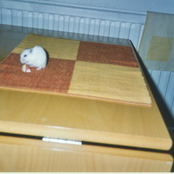 Some Assorted Tracks From Couple of Albums for Last MF Radio Play