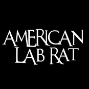 American Lab Rat