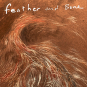 Feather and Bone