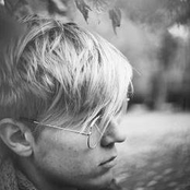 Daisies & Clog-fiddles