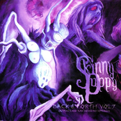 This Is Your Terror by Skinny Puppy