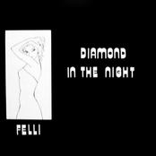 Diamond in the Night