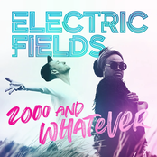 Electric Fields: 2000 and Whatever
