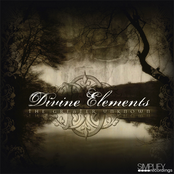 Heavyweight by Divine Elements