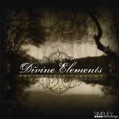 Lobotomy Vip by Divine Elements