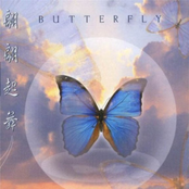 Butterlfy