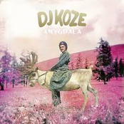 Dj Koze Feat. Caribou