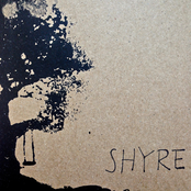 Swing On The Tree by Shyre