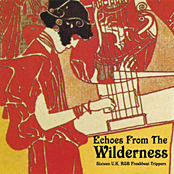 Echoes From The Wilderness