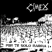 Cimex