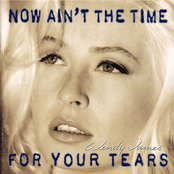 I Want To Stand Forever by Wendy James