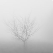 MIST (feat. 2hollis & Circleain) - Single