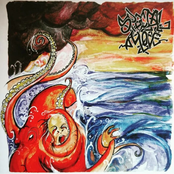 Level 5: Curse Of The Blackwater