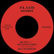 Mr. Shy b/w Fall On My Knees