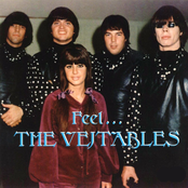 Feel the Vejtables