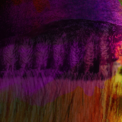 La calma se pinta de azul