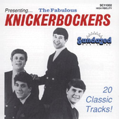 the fabulous knickerbockers