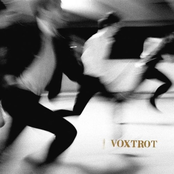 New Love by Voxtrot