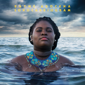 Dayme Arocena: Sonocardiogram