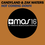 Not Coming Down (The Remixes)