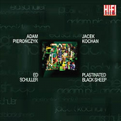 Plastinated Black Sheep