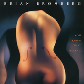 Brian Bromberg: You Know That Feeling