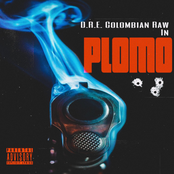 Plomo