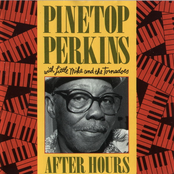 Anna Lee by Pinetop Perkins