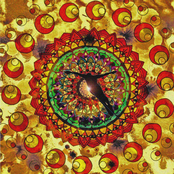 Diving Into The Endless Mandala