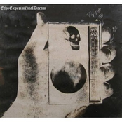 EchoExperimentalDream