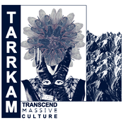 Transcend Massive Culture e.p